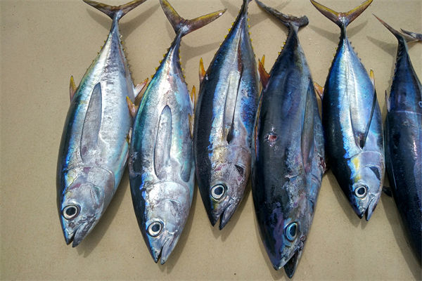 商務(wù)部：將幫助外貿(mào)企業(yè)擴(kuò)寬內(nèi)銷渠道，政策解讀！